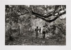 Children Under Trees