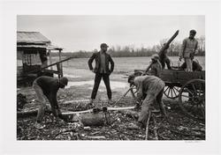 Boys Chopping Wood