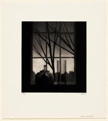 Window w/vase & trees