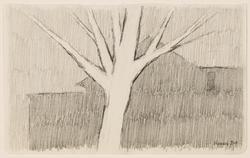 Winter Evening