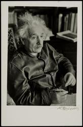 Albert Einstein
