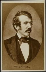 David Livingstone
