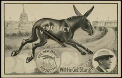 THE NEW JERSEY MOSQUITO Will He Get Stung? 
DEMOCRACY
