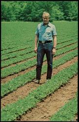 President Jimmy Carter, most famous American farmer since George Washington, surveys his well-tended peanut fields.