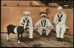1322 - MASCOTS ON BOARD UNITED STATES WARSHIP.
