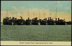 Pacific Torpedo Fleet, Puget Sound Navy Yard.