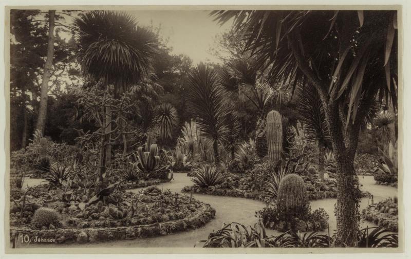 Arizona Garden at Hotel Del Monte, Monterey; or the Leland Stanford estate, Palo Alto