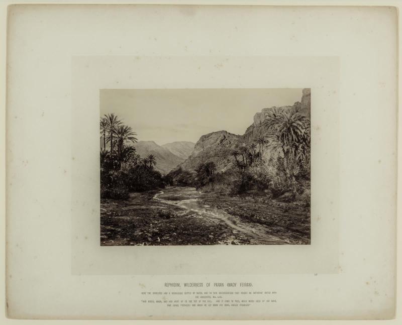 Rephidim, Wilderness of Paran (Wady Feiran)
