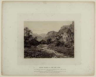Rephidim, Wilderness of Paran (Wady Feiran)