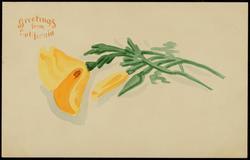 Greetings From California