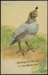 Greetings and Welcome to Our Worlds Fair