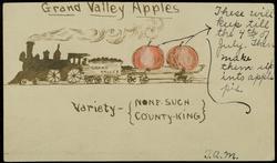 Grand Valley Apples