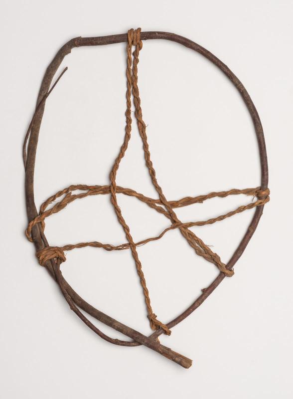 Bird snare