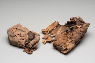 Fragments of a mummy