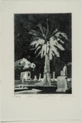 Jewish Cemetary Palms, Colma
