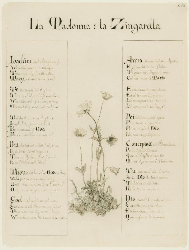 La Madonna e la Zingarella (XVII) (for the Roadside Songs of Tuscany)