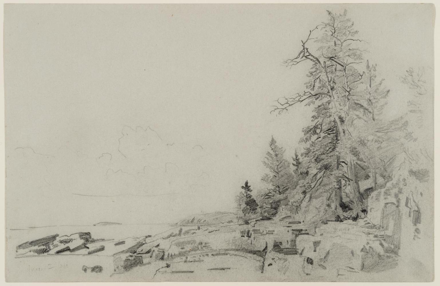 Mount Desert Landscape