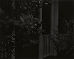 Untitled #4 (Leaves and Porch)