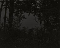 Untitled #16 (At Lake Erie)