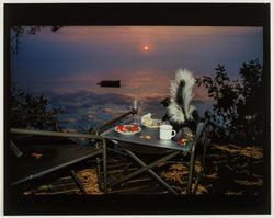 Skunk and Strawberries on Great Pond