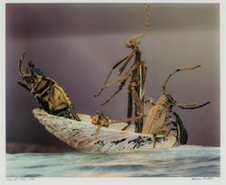 Ship of Fools