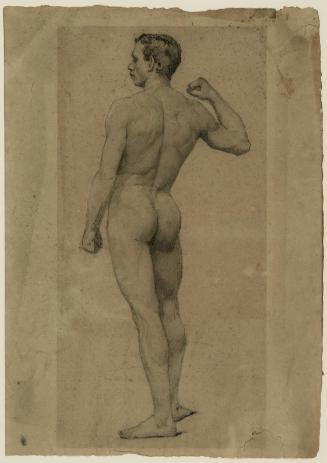 Academic Male Nude