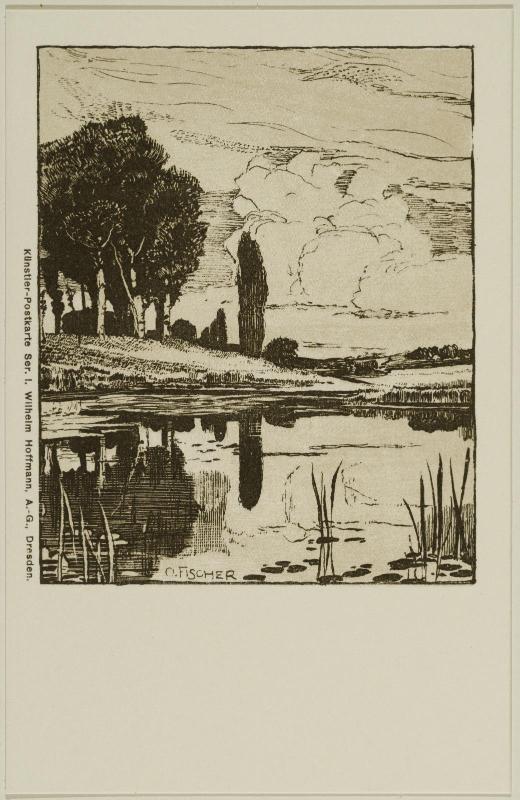 Pond view