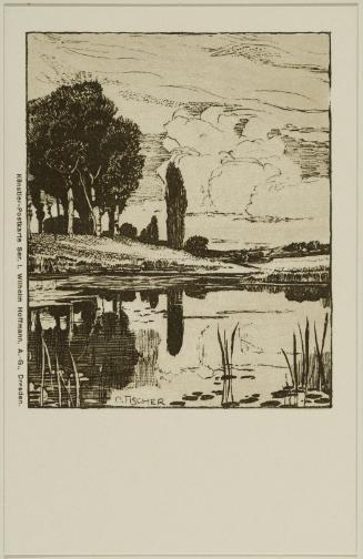 Pond view