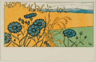 Field of flowers