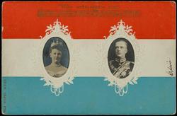 WIEN NEÊRLANDSCH BLOED.

