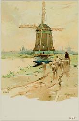 Edam