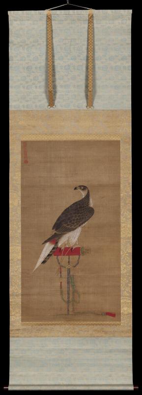 Falcon on a Perch