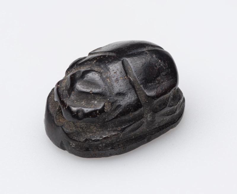 Scarab