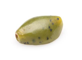 Scarab