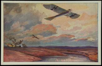 Militärtaube auf Erkundungsflug bei den Masurischen Seen.
