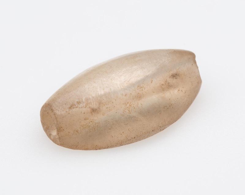 Cowroid bead