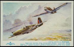 NORTH AMERICAN MUSTANG