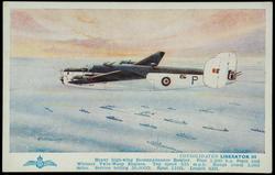 CONSOLIDATED LIBERATOR III