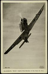 BLACKBURN "SKUA" Fighter Dive-Bomber of the Fleet Air Arm.