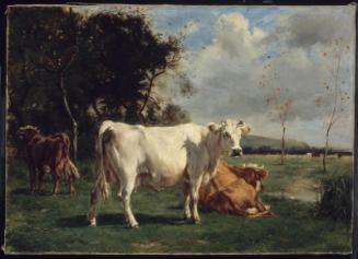 Cows in a Pasture