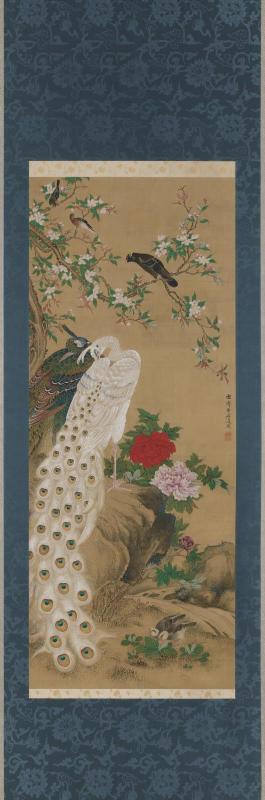 Peafowls and Flowers