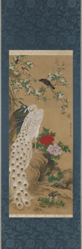 Peafowls and Flowers