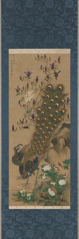 Peafowl and Flowers
