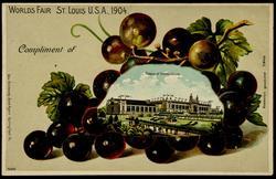 WORLD'S FAIR ST. LOUIS U.S.A., 1904. 
Palace of Horticulture.
