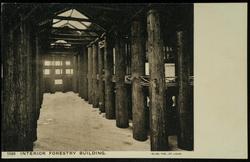 INTERIOR FORESTRY BUILDING.

