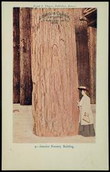 9 - Interior Forestry Building. LEWIS & CLARK EXPOSITION PORTLAND, OR. 1905 
