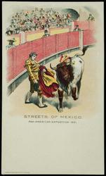 STREETS OF MEXICO. PAN-AMERICAN EXPOSITION 1901.
