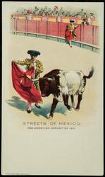 STREETS OF MEXICO. PAN-AMERICAN EXPOSITION 1901.
