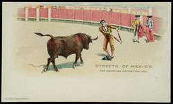 STREETS OF MEXICO. PAN-AMERICAN EXPOSITION 1901.
