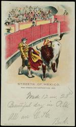 STREETS OF MEXICO. PAN-AMERICAN EXPOSITION 1901.
